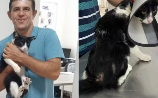 jjjjjjjjjjjjjjjjjjjjjjjj